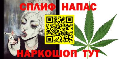 прущие грибы Конаково