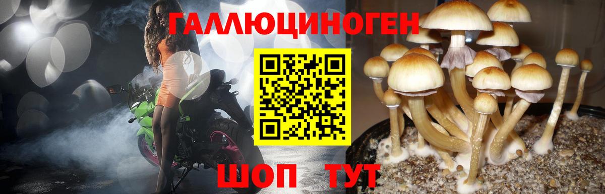 Псилоцибиновые грибы MAGIC MUSHROOMS Кимовск